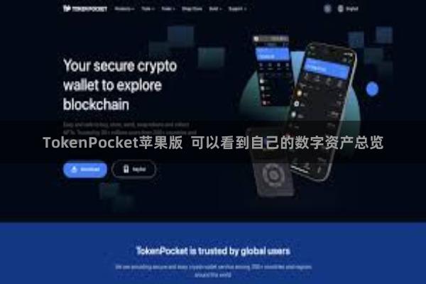TokenPocket苹果版  可以看到自己的数字资产总览